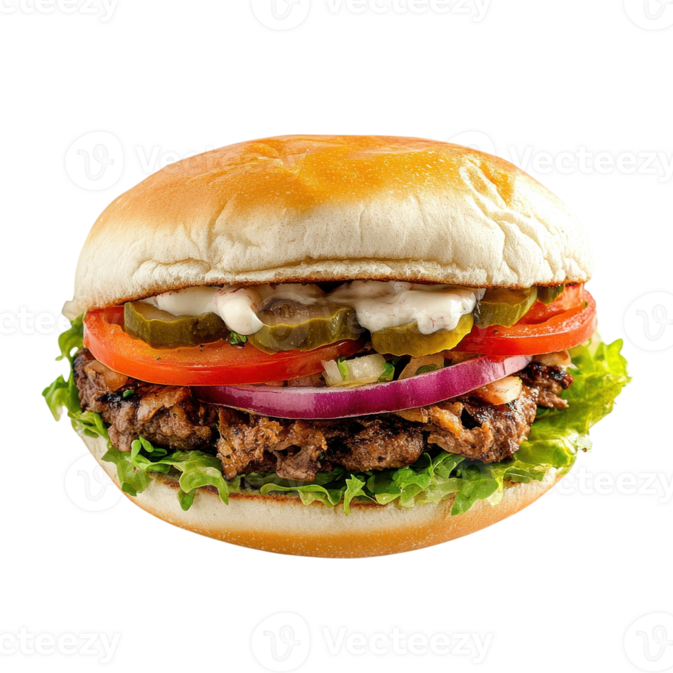 Mexican Cemita Sandwich Photo on transparent background. png
