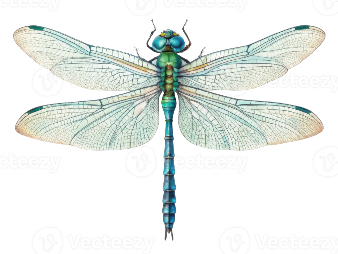 detailed illustration of dragonfly showcasing its vibrant blue and green colors, intricate wing patterns, and delicate features png