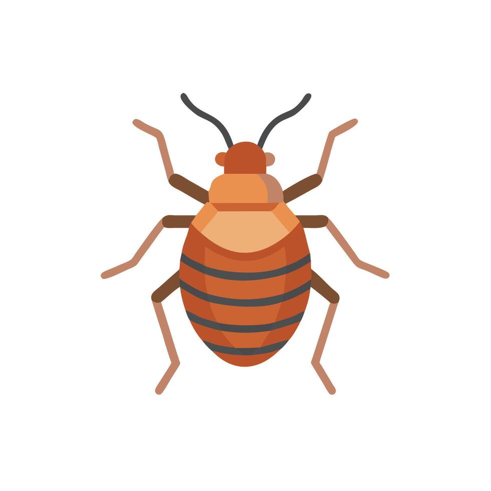 Bed bug illustration vector