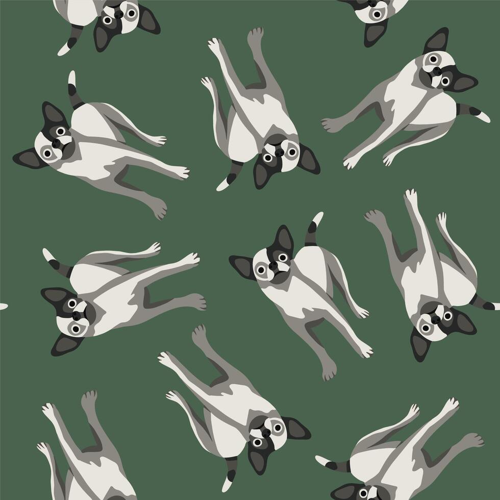 isolated illustration of a chihuahua pattern. vector