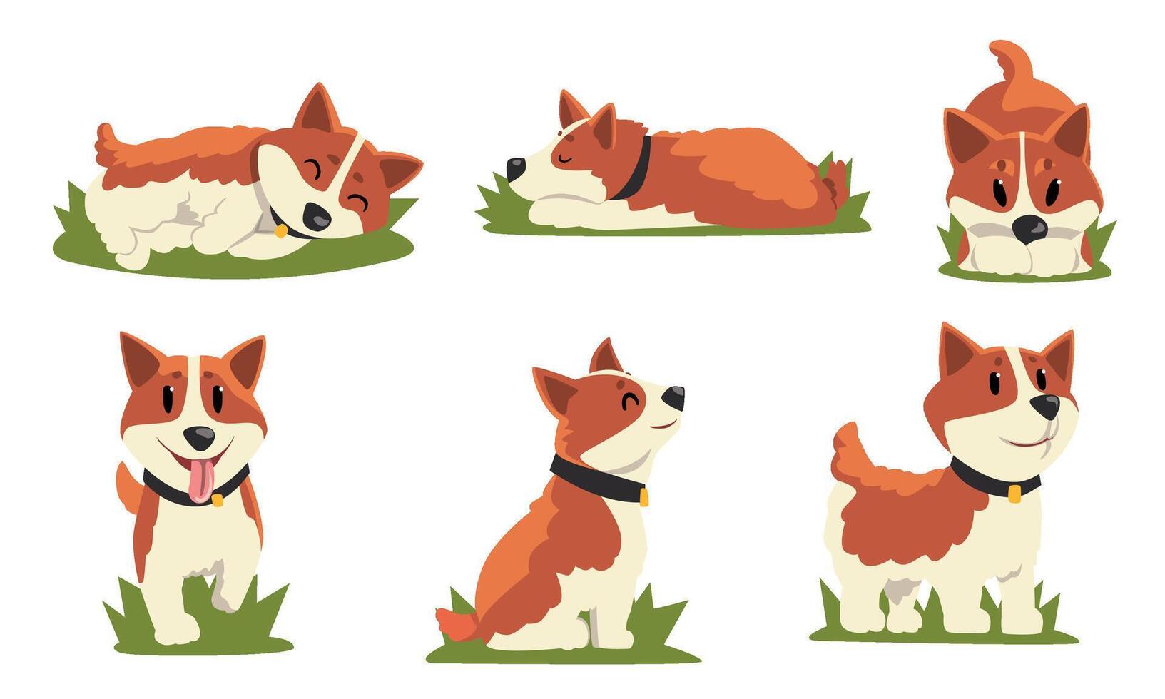 Collection of Brown and White Dog in Everyday Activities, Cute Pet Animal in Various Poses Illustration on White Background vector