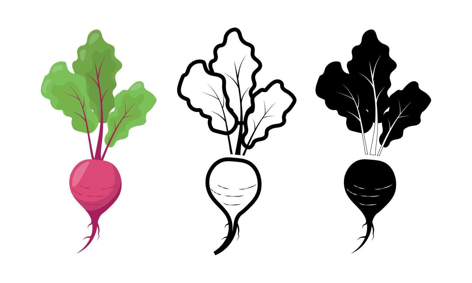 Beet icon set. Beet collection icons for web, mobile applications.on vector