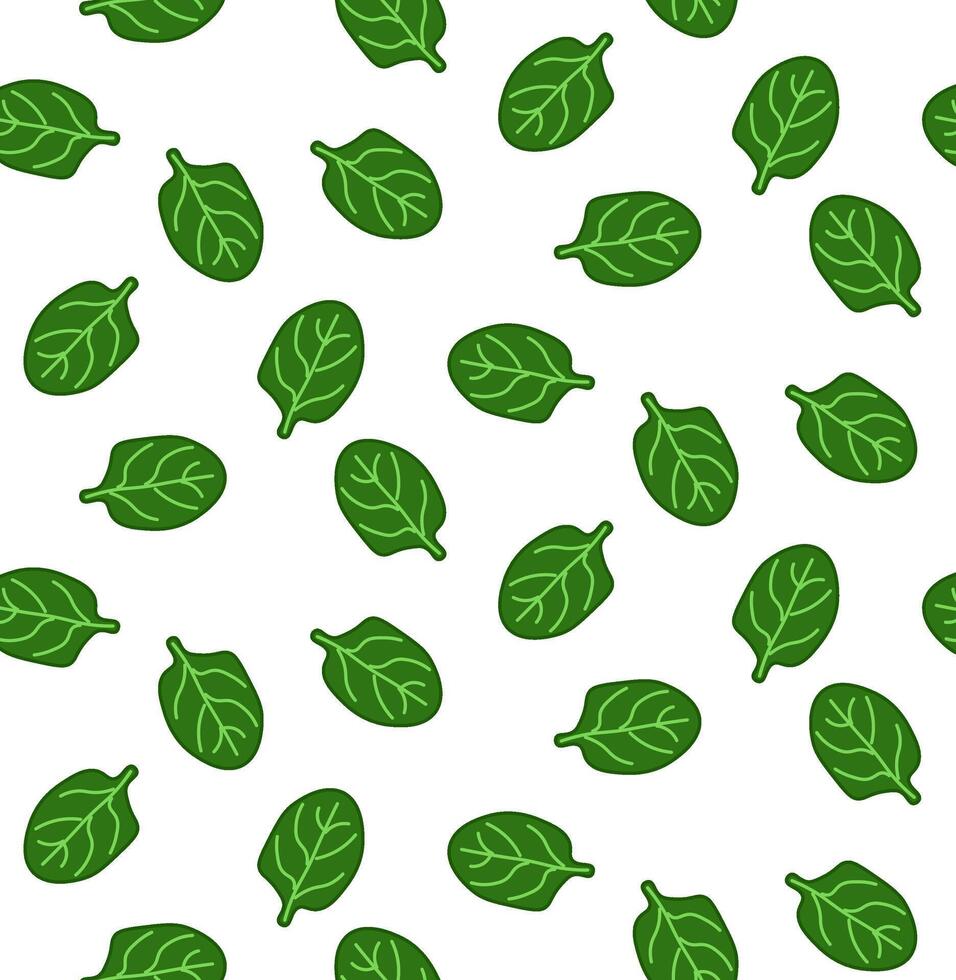 Spinach leaves seamless pattern. flat Green leaves of vitamin salad. Background for textiles, tablecloths, fabrics, wallpapers, fabric, labels, t-shirt printing. Eat green vector