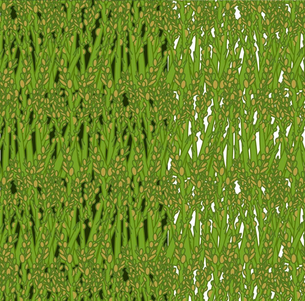 asparagus close up seamless pattern. flat art for food design, recipe, cook book, packages, menu, food ads and decor Eat green vector