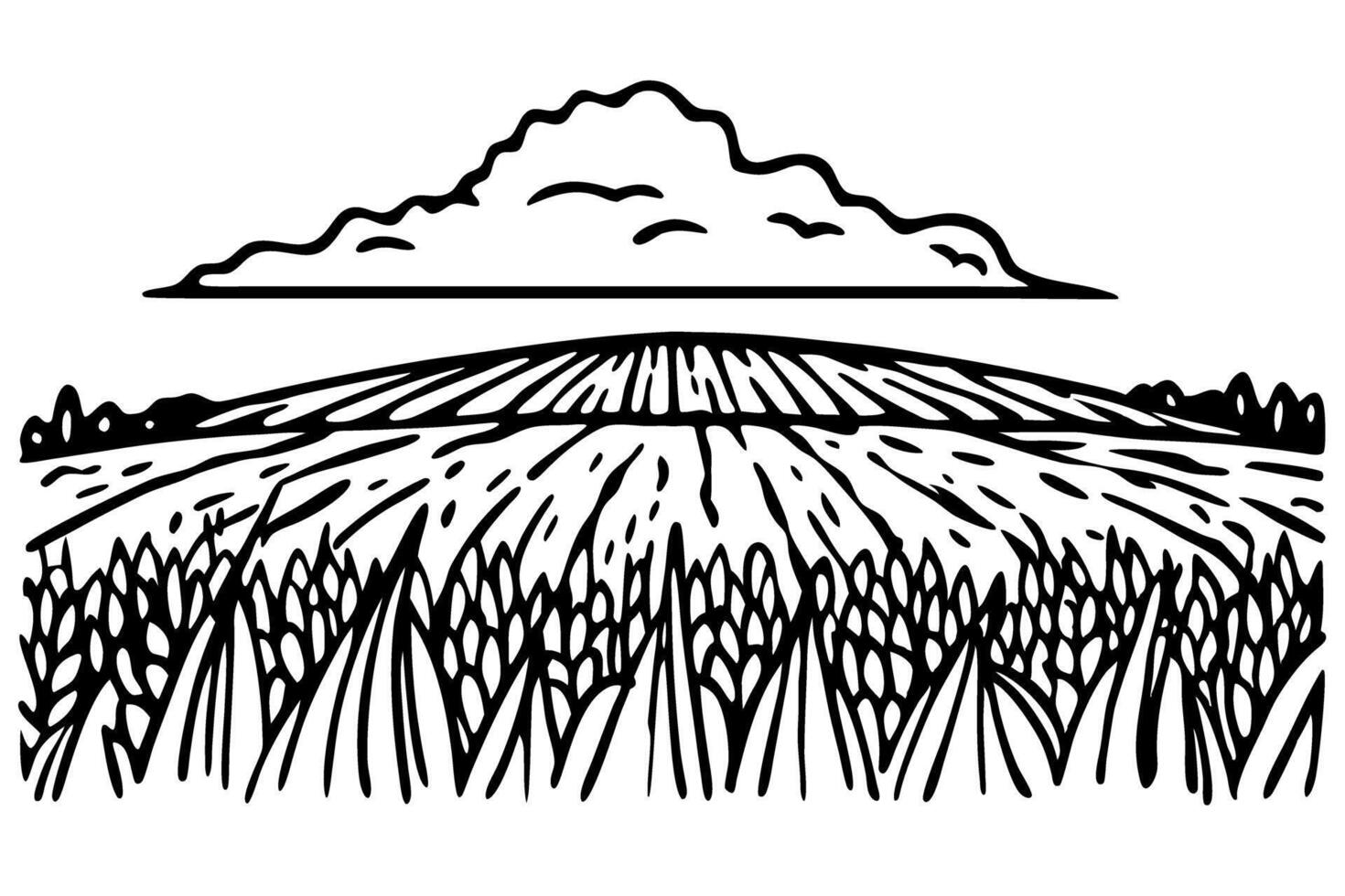 scenic wheat field illustration with clouded sky black and white, agricultural landscape drawing vector