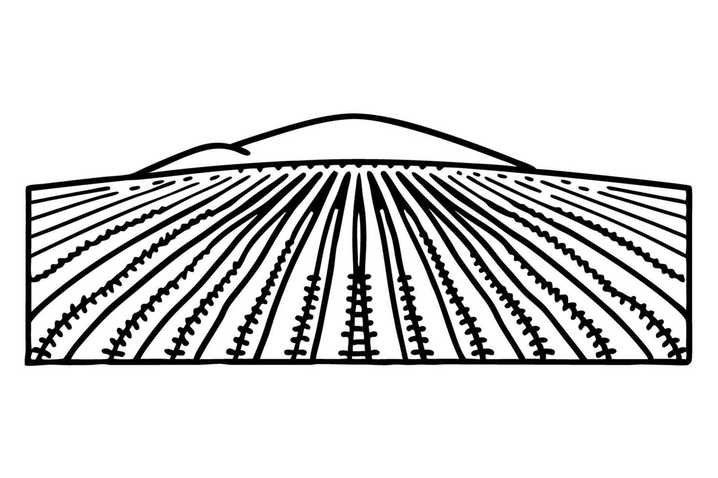 Line art of a lavender field with rolling hills in the background vector