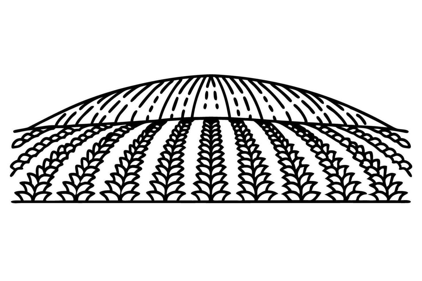 minimalistic black and white landscape stylized farm field illustration with growing crops and rows vector