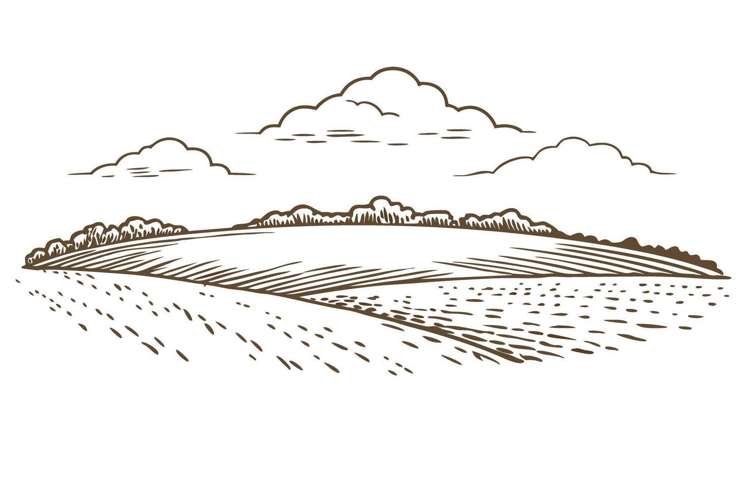 Scenic countryside view with fields and clouds in vintage illustration vector