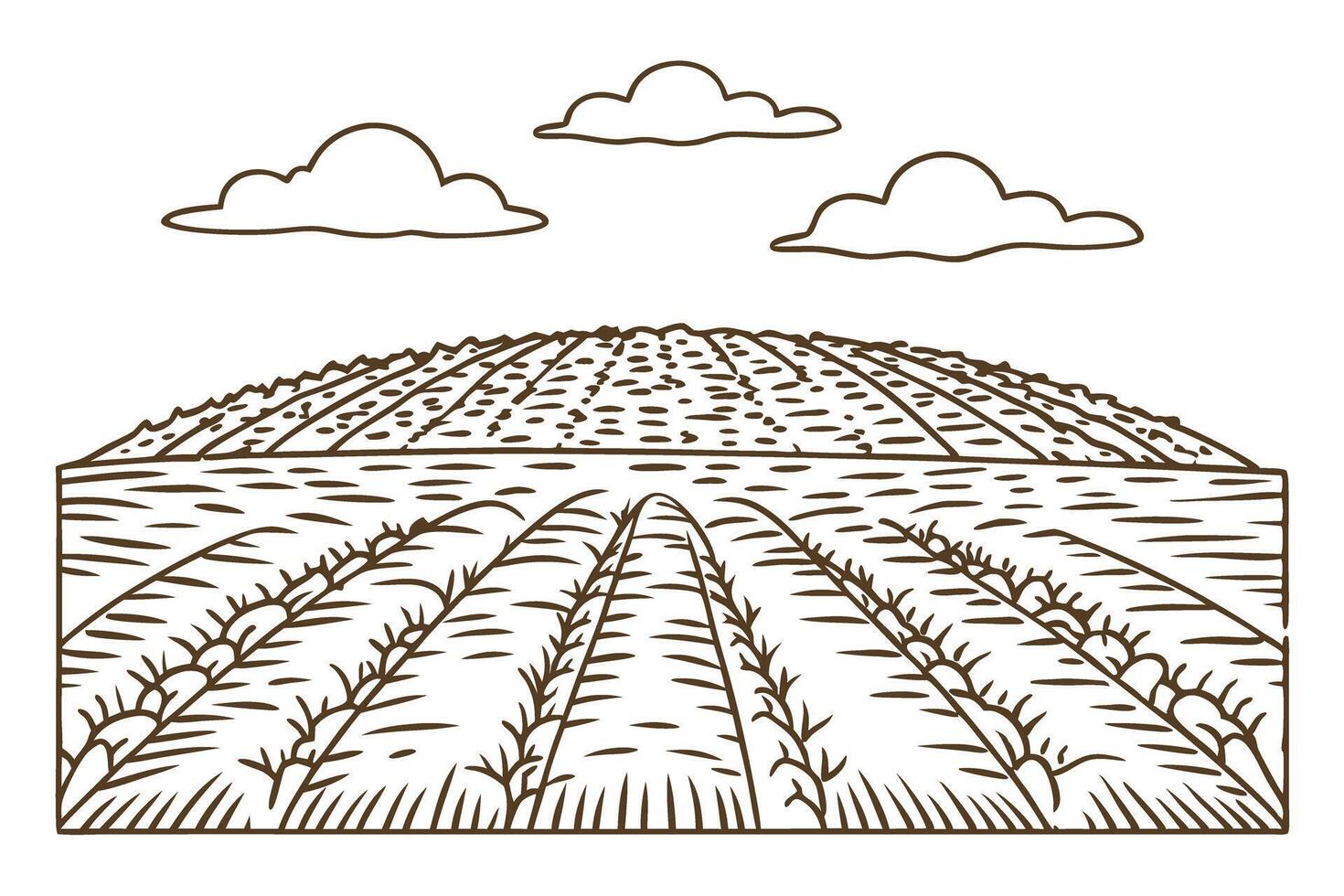 illustrated agricultural field with crops and clouds in linear vector