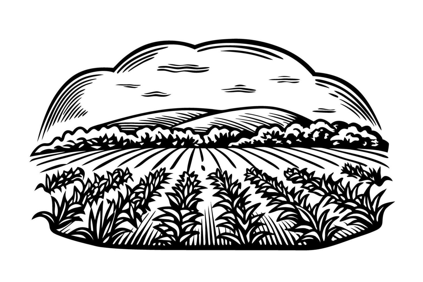 Idyllic farmland illustration with crops and rolling hills under a cloudy sky vector