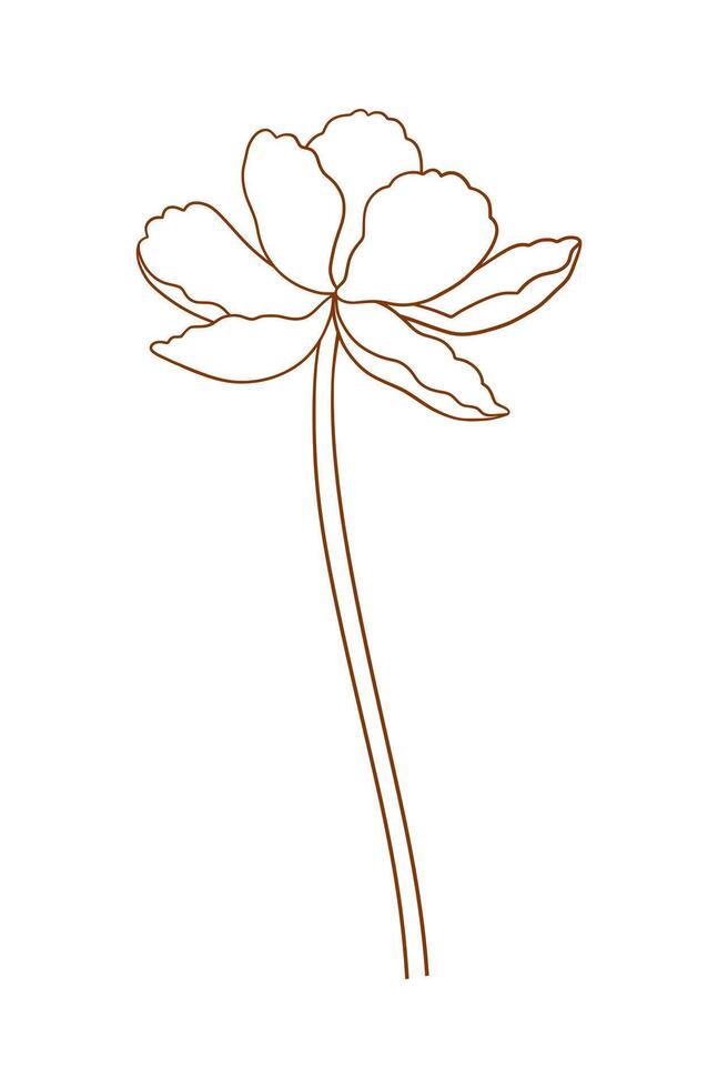 Tulip, graceful brown contour. Beautiful flower, spring decor, minimal style. Drawing element for Easter, Mother Day, Canadian Tulip Festival. vector