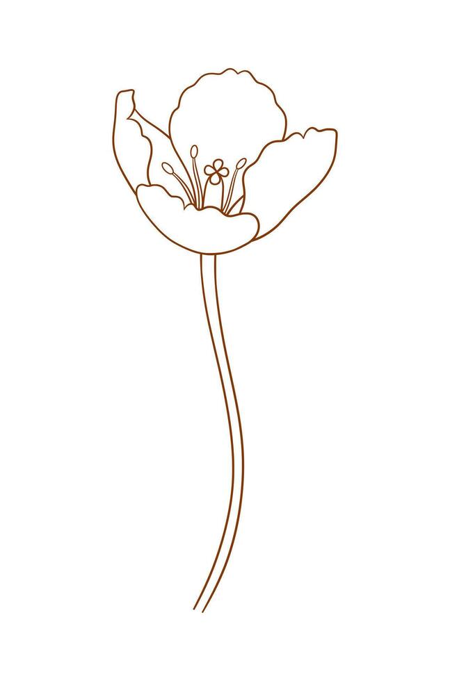 Tulip in outline. Beautiful sketch flower, spring decor. Drawing element of minimal style for Easter, Mother Day, Canadian Tulip Festival vector