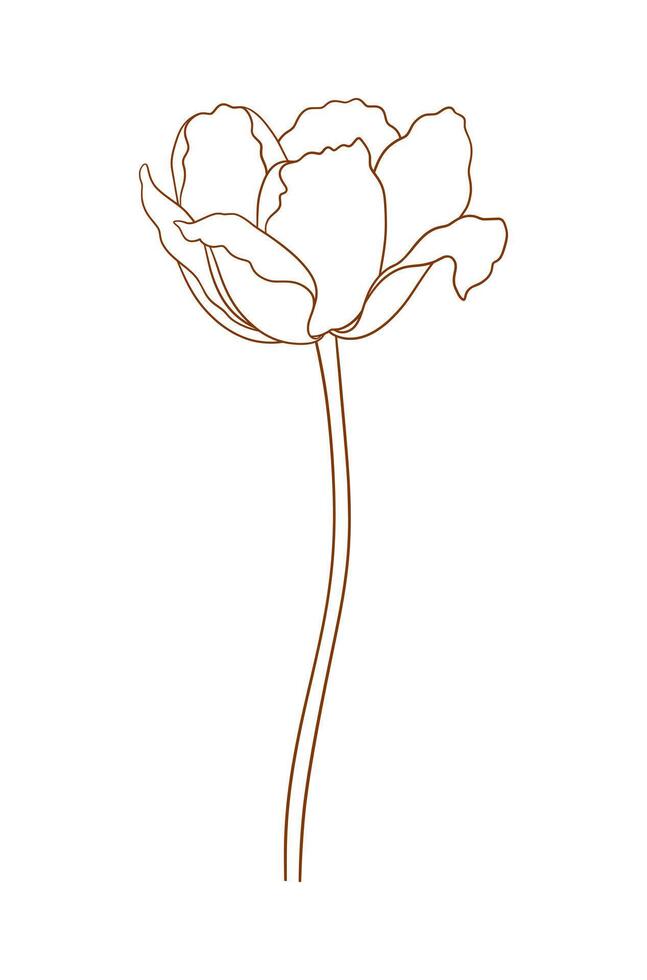 Tulip in brown. Beautiful sketch flower, spring decor. Drawing element of minimal style for Easter, Mother Day, Canadian Tulip Festival vector