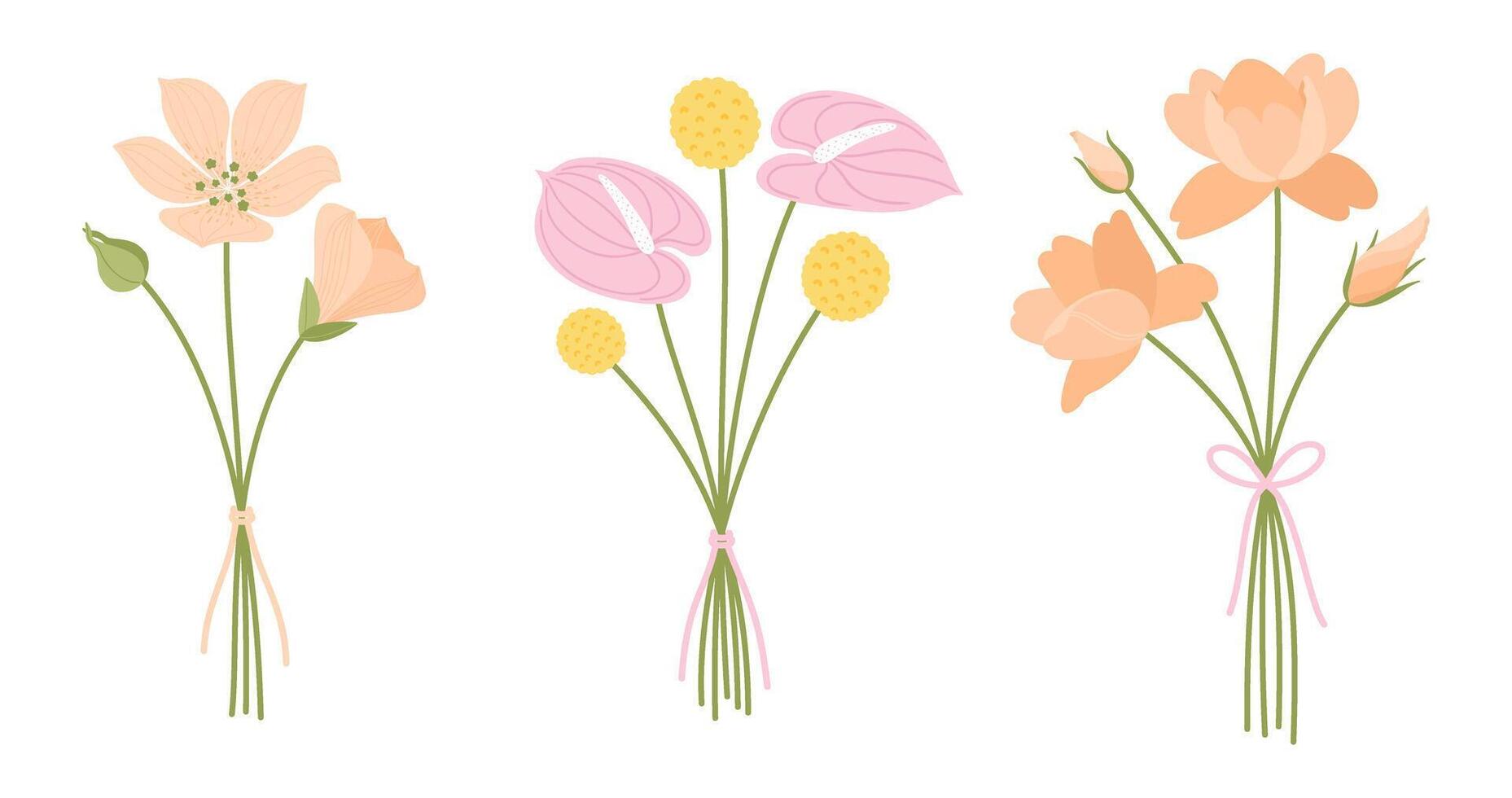 Wildflower bouquets set. Gentle floral bouquets, illustration. Flowers tied with ribbons. Meadow herbs and wild plants vector