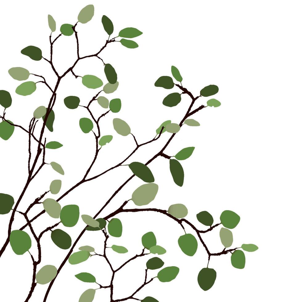 Tree branch with green leaves isolated on white square background graphic illustration. vector