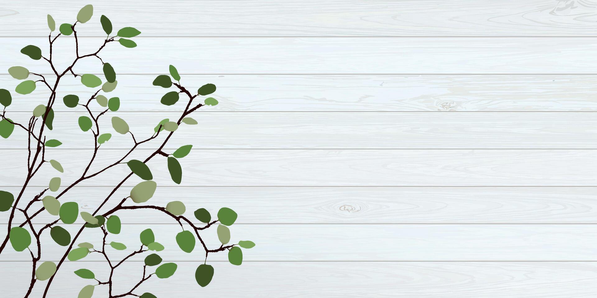 Tree branch with green leaves have white wooden wall background graphic illustration have blank space. vector