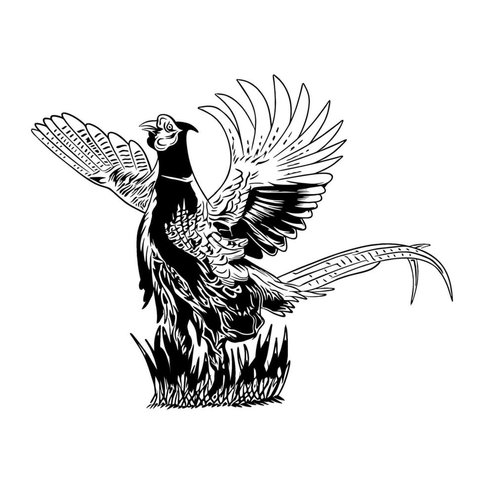 pheasant flapping its wings black and white hunting illustration logo image t shirt vector