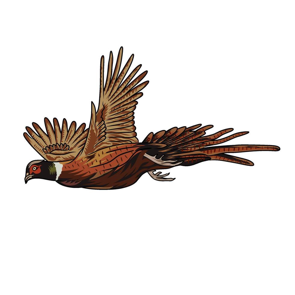 pheasant flying straight hunting illustration logo image t shirt vector