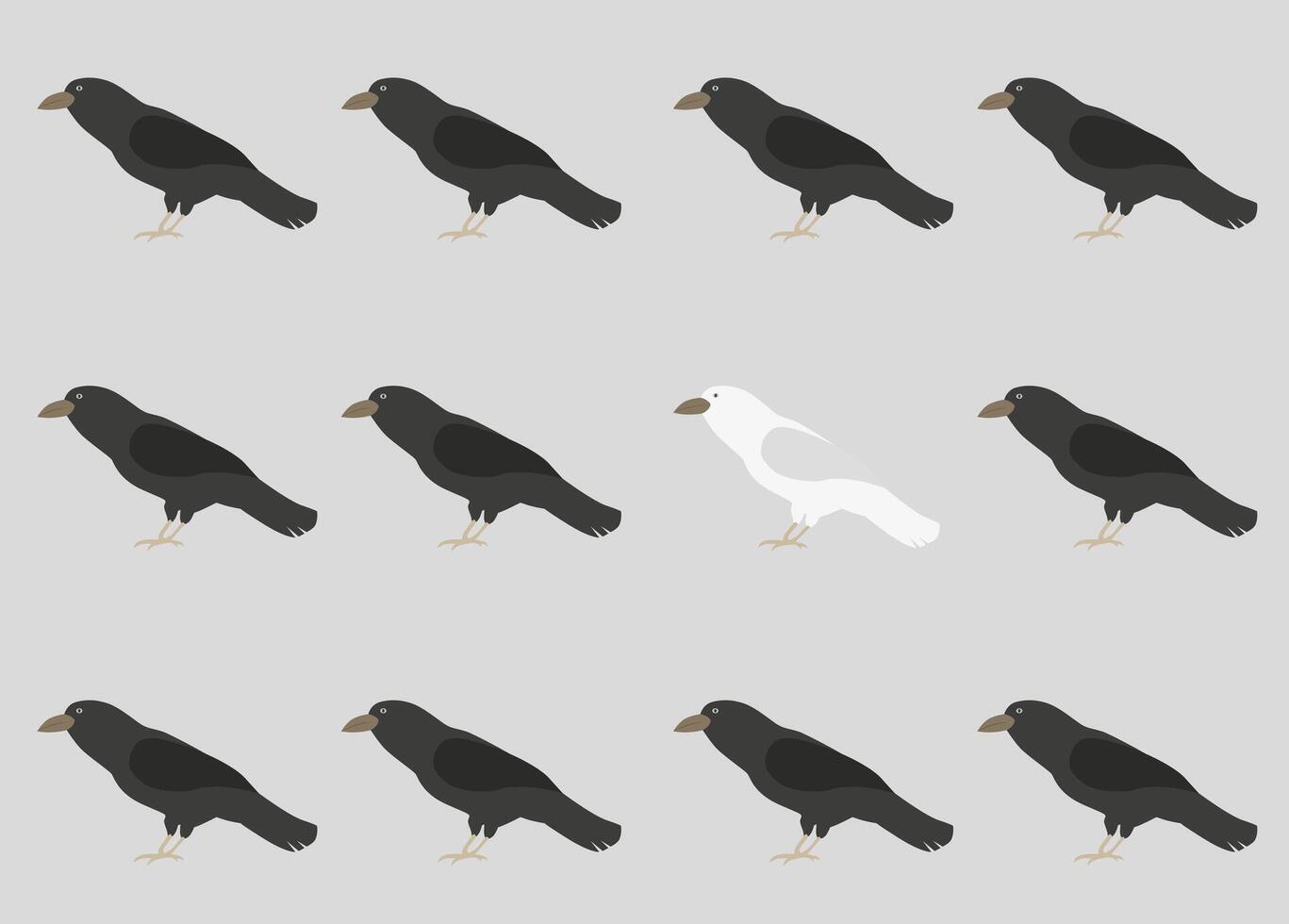 Be special. A white crow among black crows. Crows background. vector