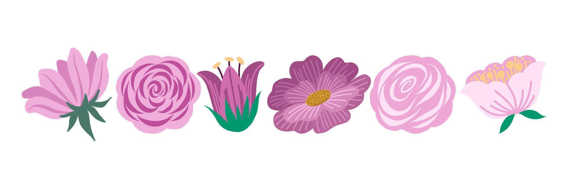 Set of isolated purple blooming flowers vector