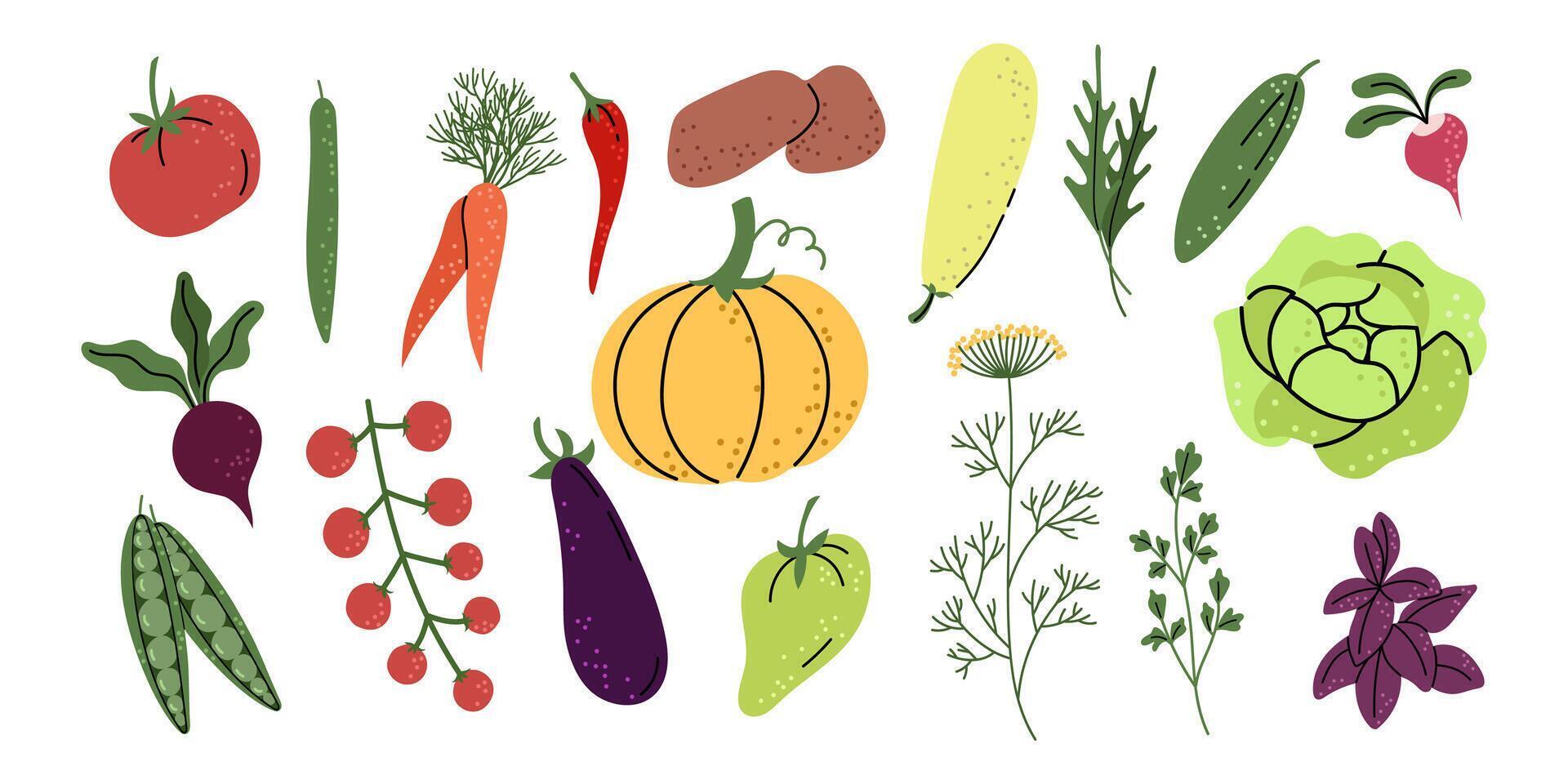 Set of Isolated Colorful Variety of Vegetables vector