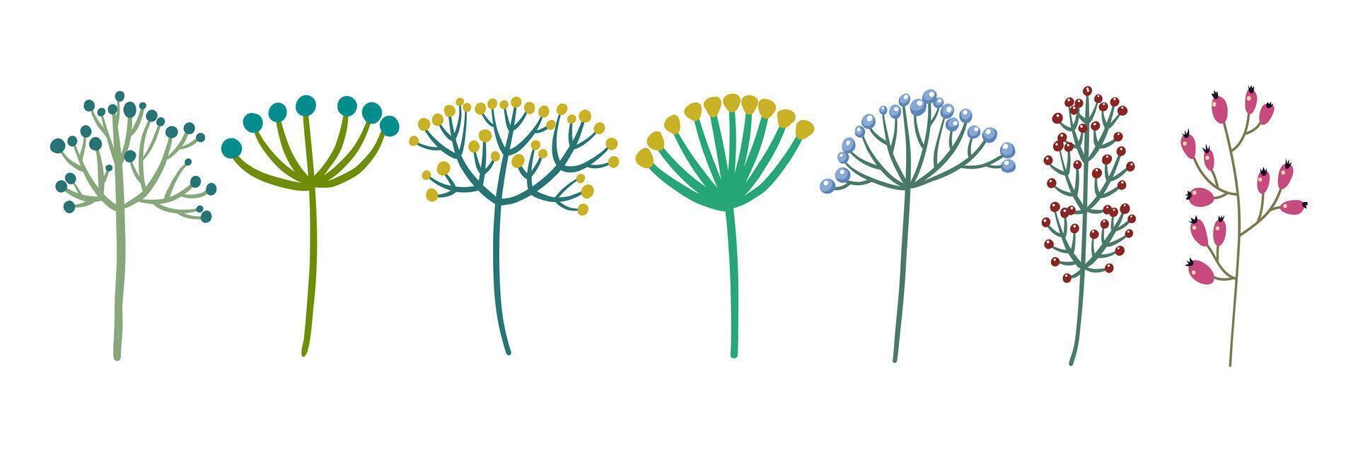 Collection of abstract floral and berries plants vector