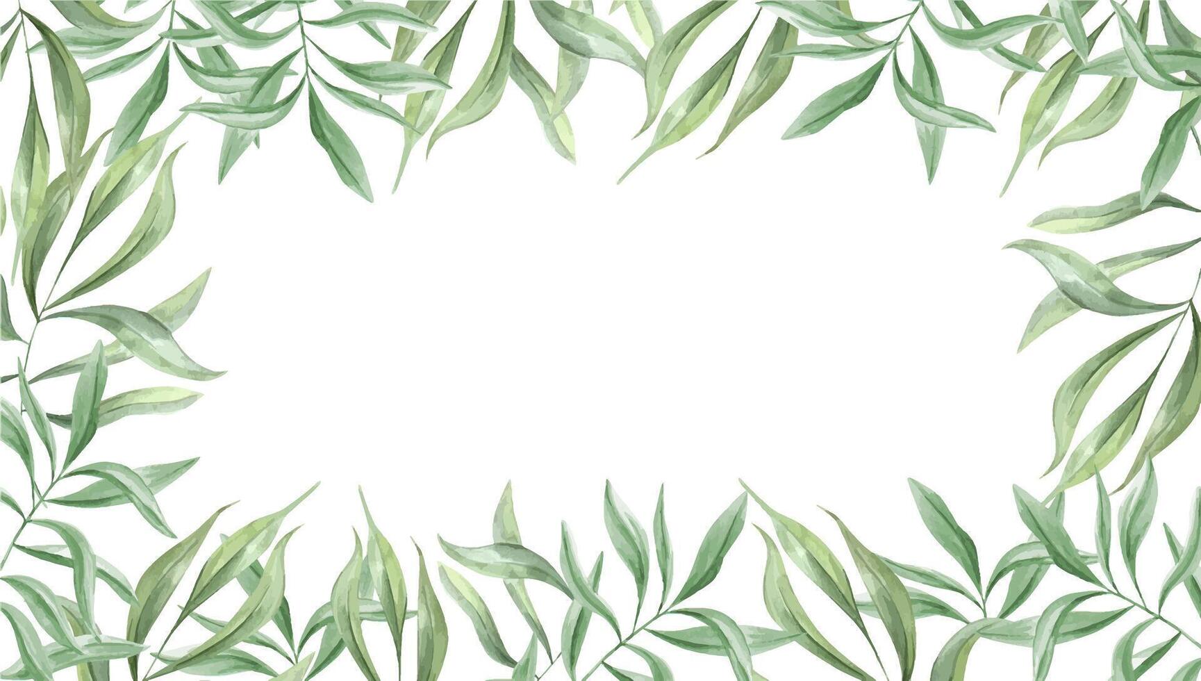 Watercolor tropical green leaves horizontal frame isolated background. Oleander branches illustration. Olive plant rectangle border with copy space with text. Eucalyptus foliage. For invitation vector