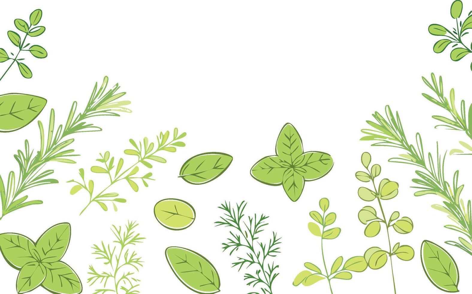 green herbs hand drawn style line art illustration vector
