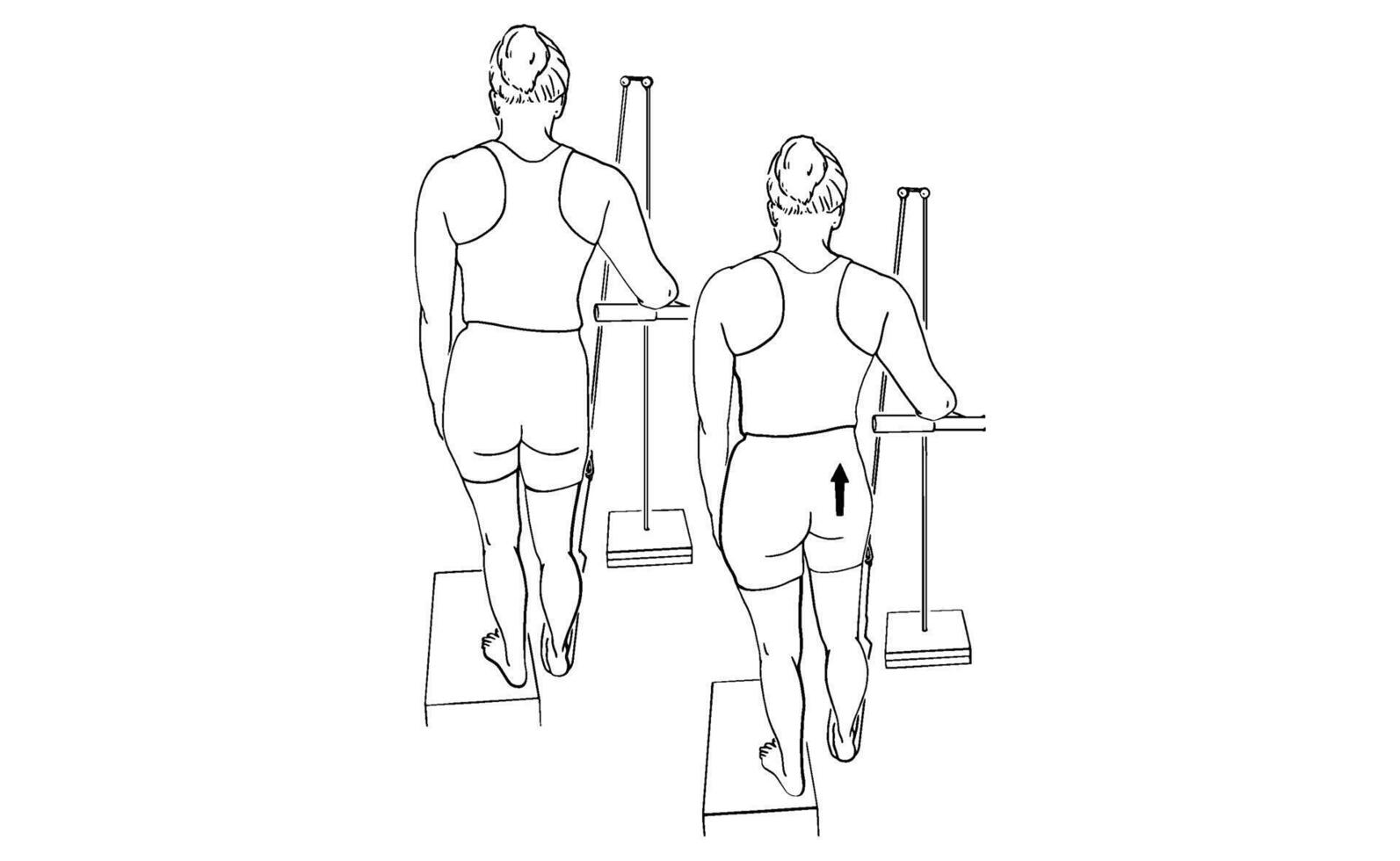 Hip Hike Exercise on Step Illustrated Guide for Strength and Stability Training vector