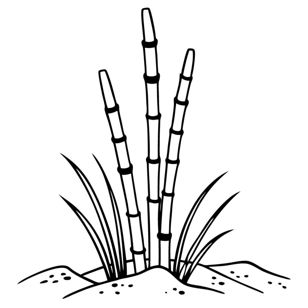 black and white sugar cane illustration simple organic plant design vector