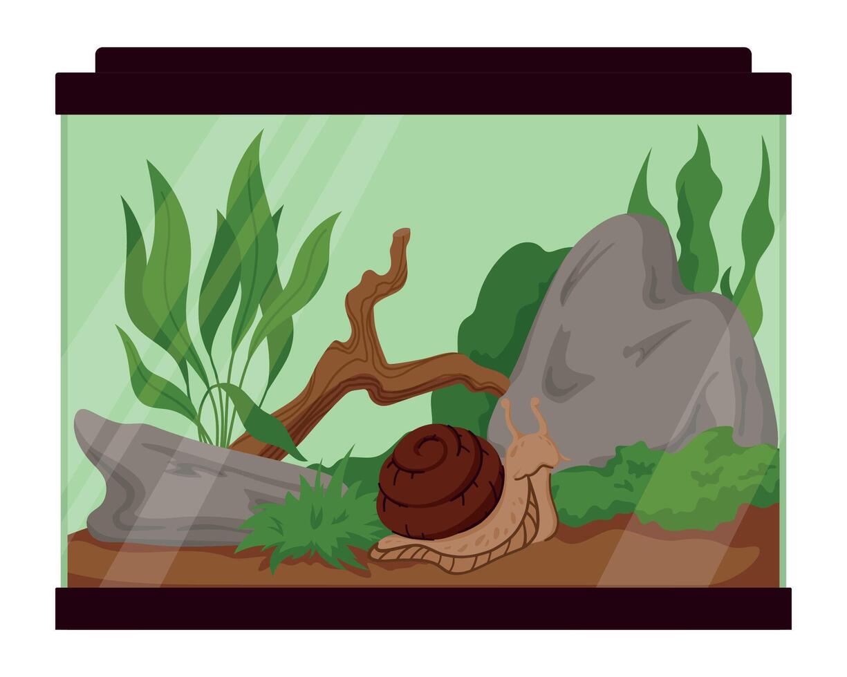 Terrarium for Snail with Rocks, Wood, Plants and Soil Isolated on White Background. Achatina Aquarium Habitat Setup for Exotic Pet Care. Vivarium Illustration for Nature Lovers vector