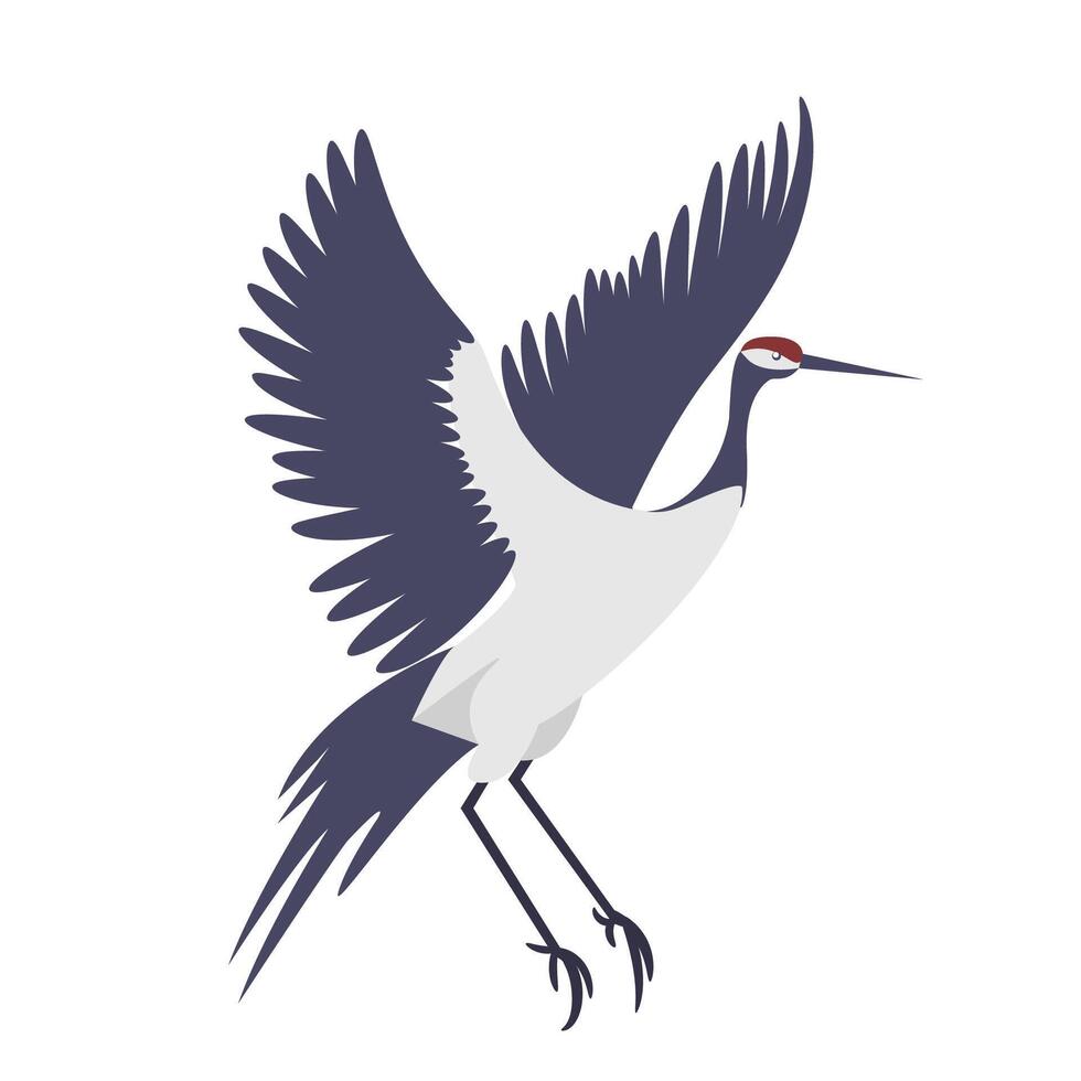 Japanese red-crowned crane in flight traditional symbol of grace and longevity vector