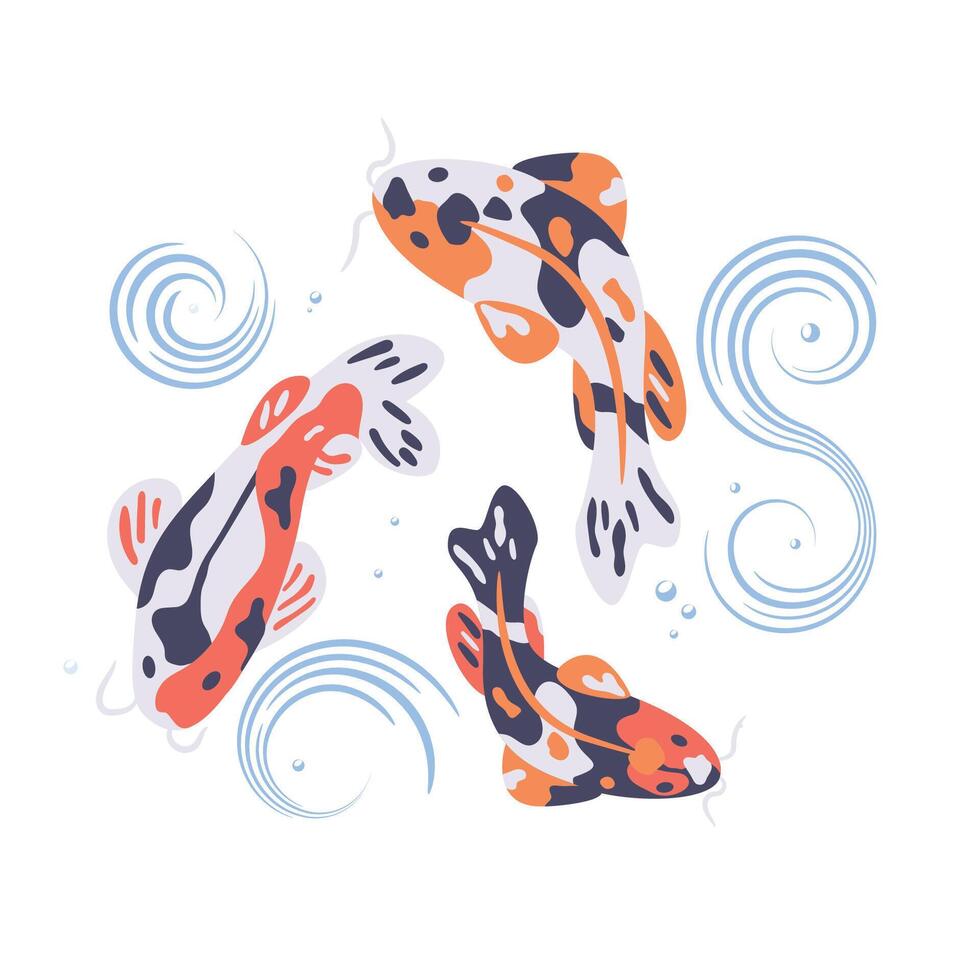Japanese koi fish swimming in water as symbol of luck and tranquility vector