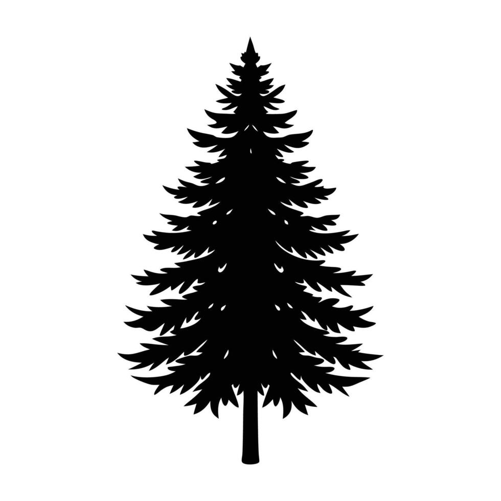 single pine tree , illustration on white background. pine tree silhouette. vector