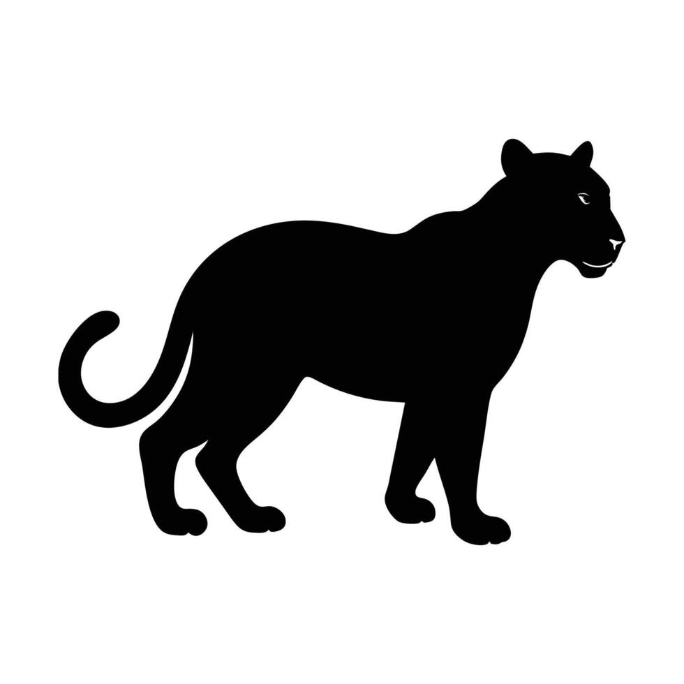 Leopard Tiger silhouette , illustration on white background. vector