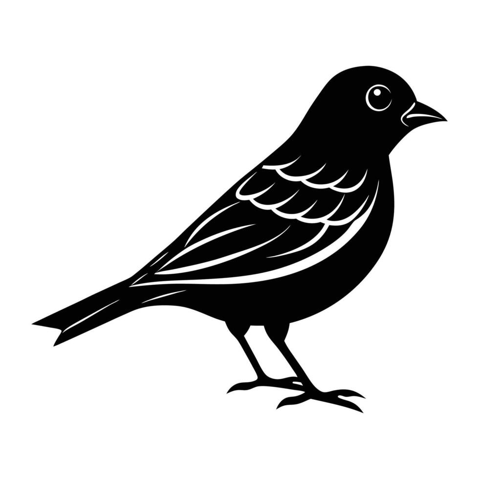 bird silhouette , illustration on white background, bird silhouette vector