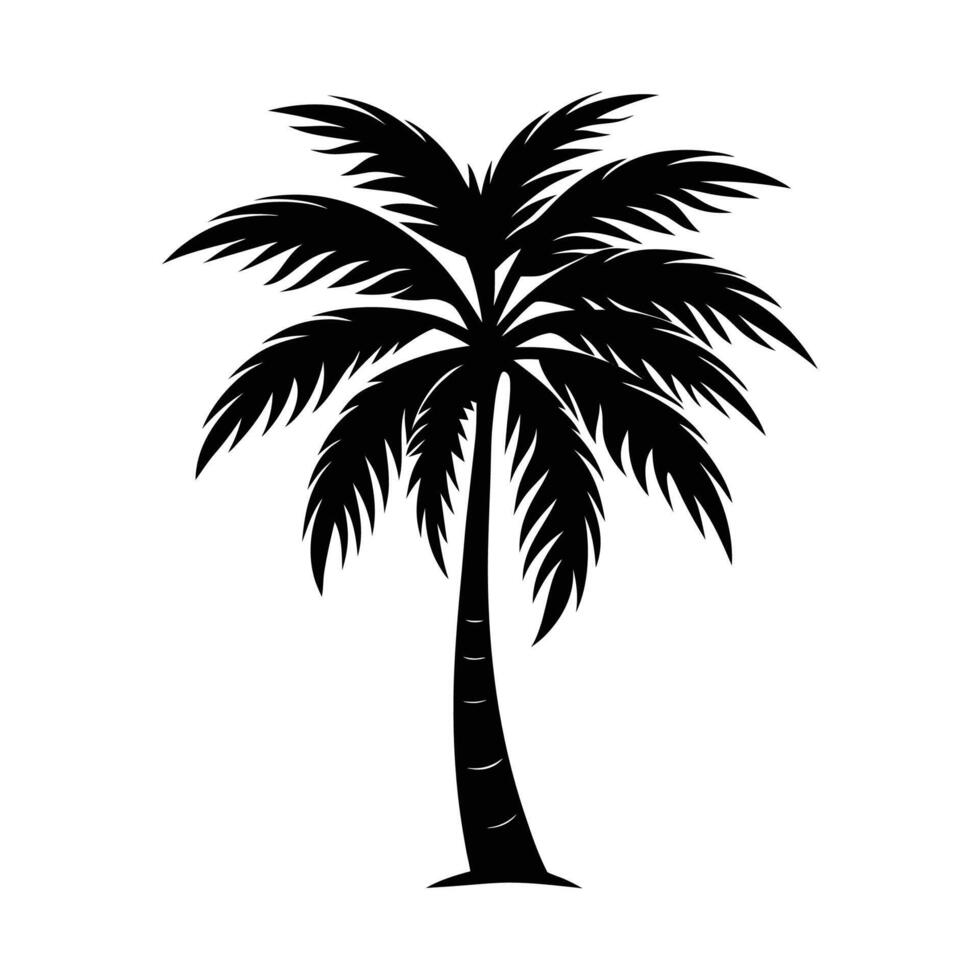 palm tree silhouette , illustration on white background. vector