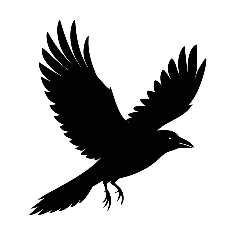 , illustration black silhouette bird, crow flying silhouette . vector
