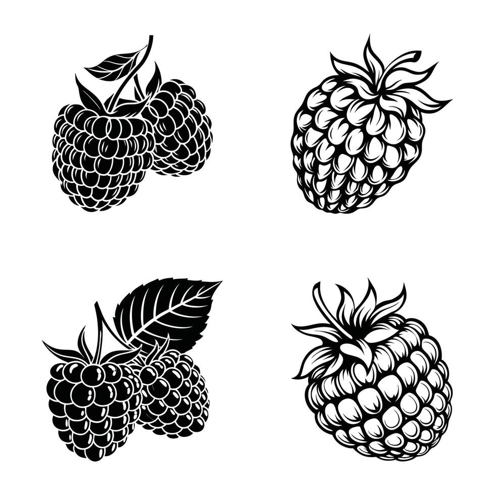 Wild Raspberry Fantasy vector