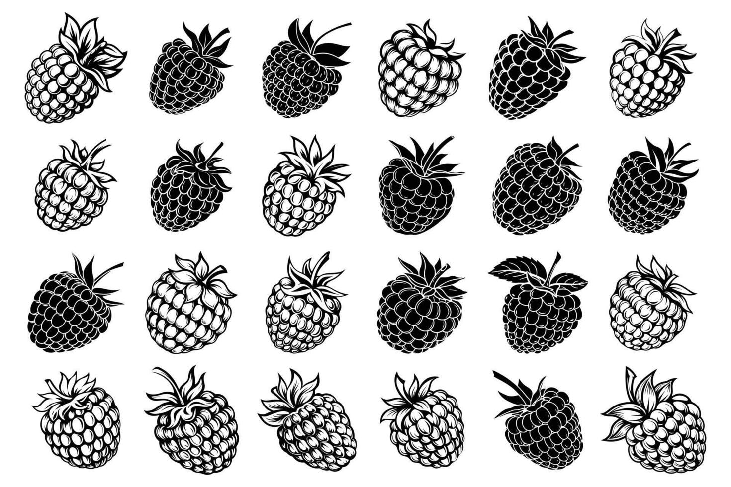 Fresh Raspberry Treat vector