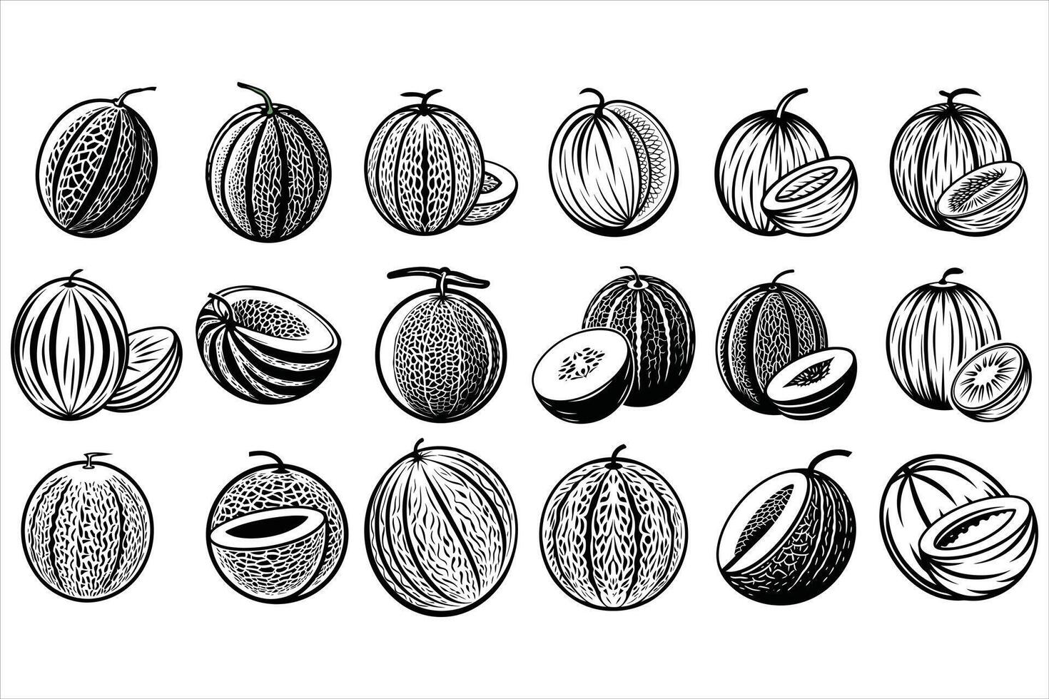 Creative Recipes Using Cantaloupe vector