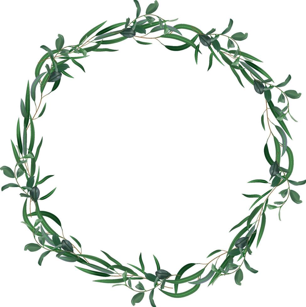 Elegant botanical circular frame creating a negative space with olive branches, eucalyptus leaves, and small dark berries, ideal for wedding invitations, greeting cards, or branding vector