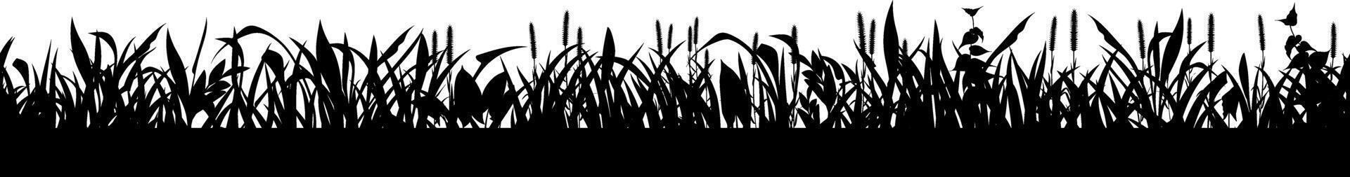 Horizontal seamless illustration of swamp vegetation creating a natural border, ideal for nature themed designs or environmental projects vector