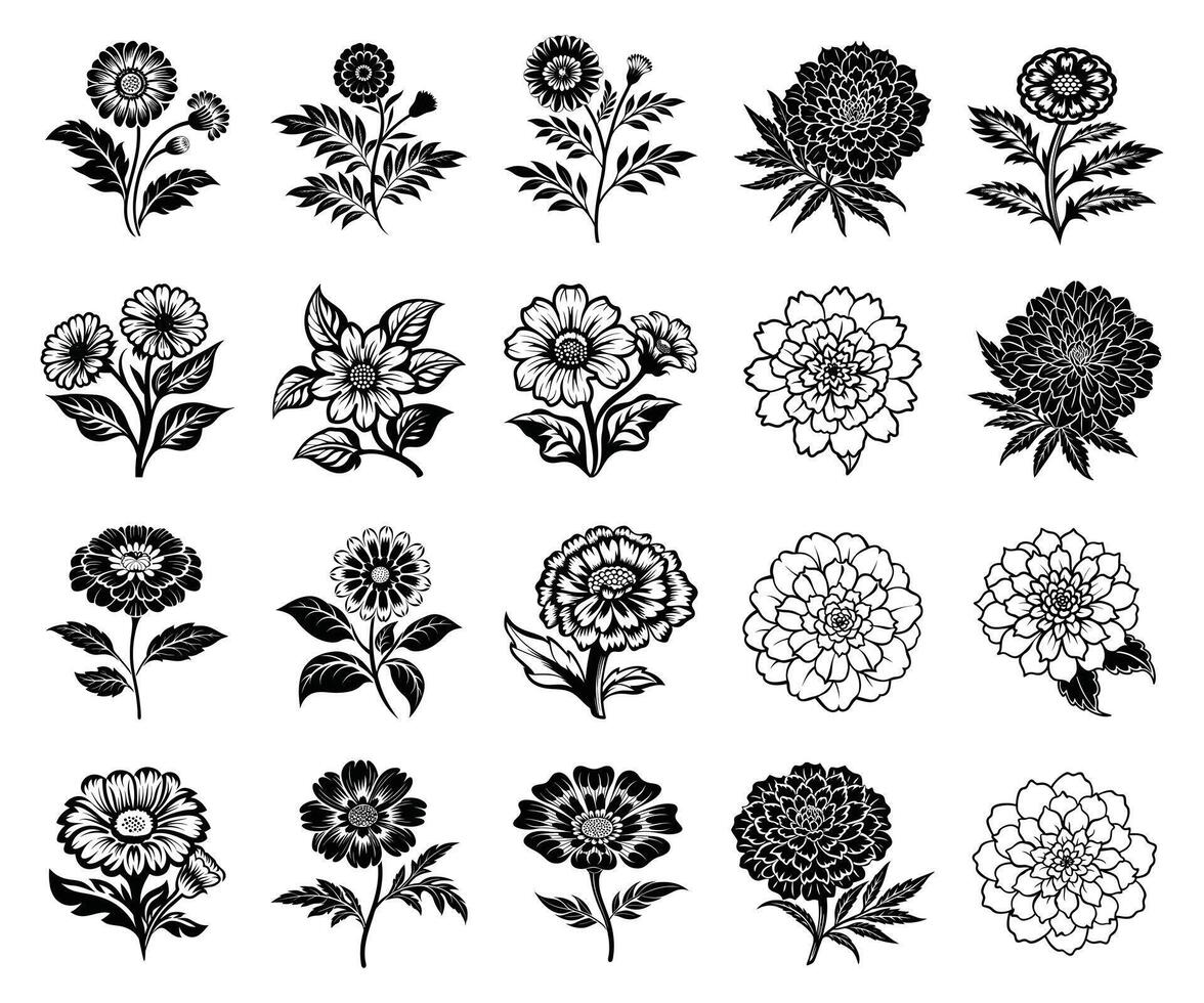 Marigold Garden Wonders vector