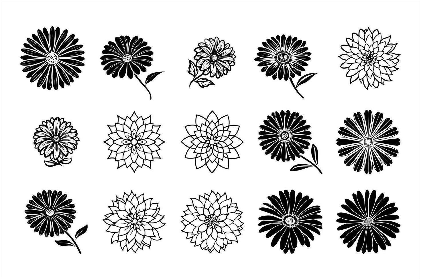 Aster Wonders of Nature vector