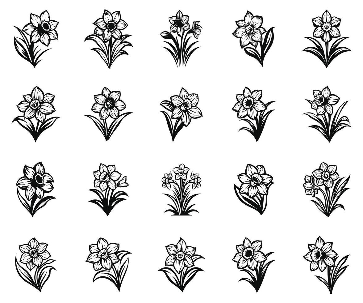 Daffodil Petals in the Sun vector