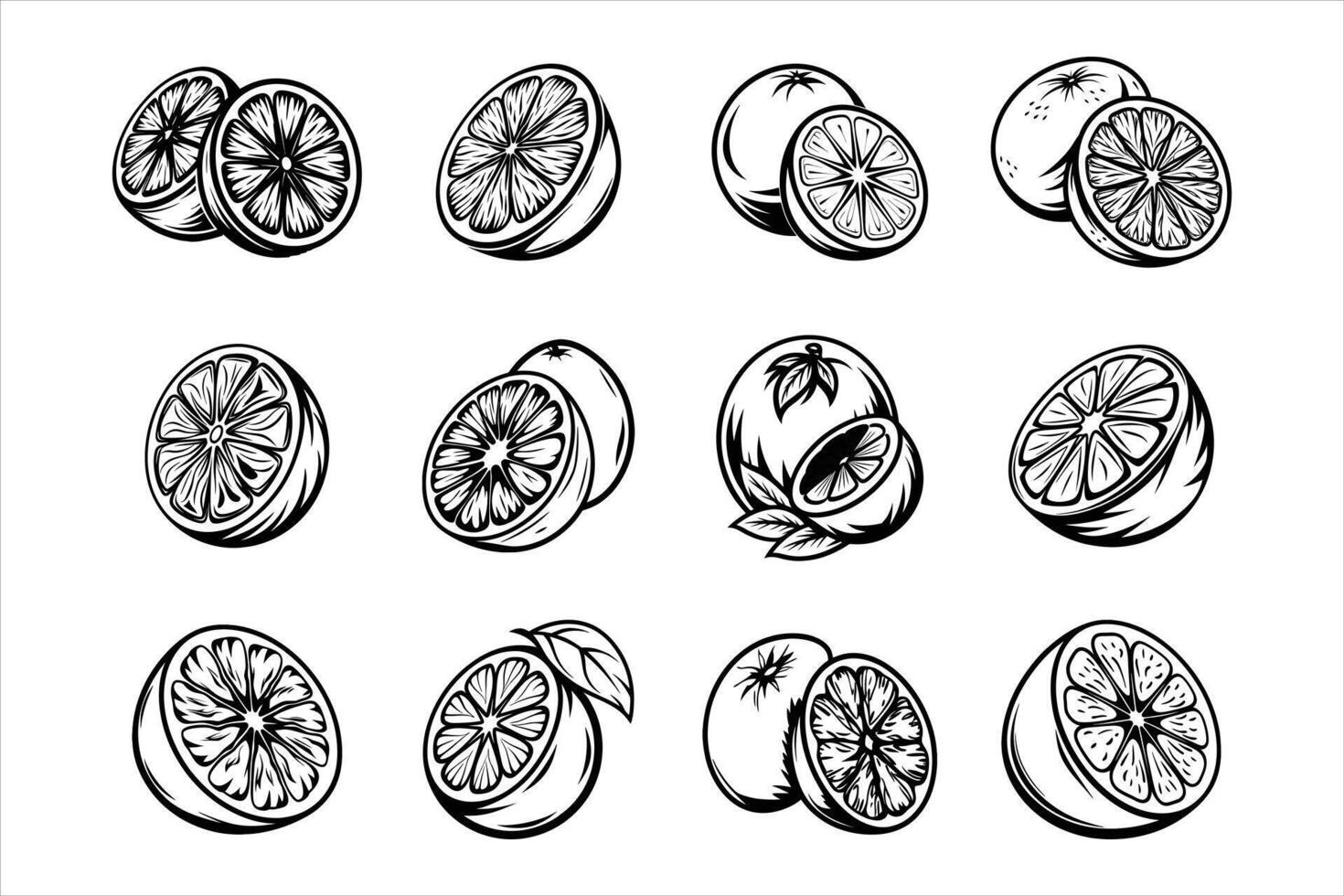 The Tangy Delight of Fresh Grapefruit vector