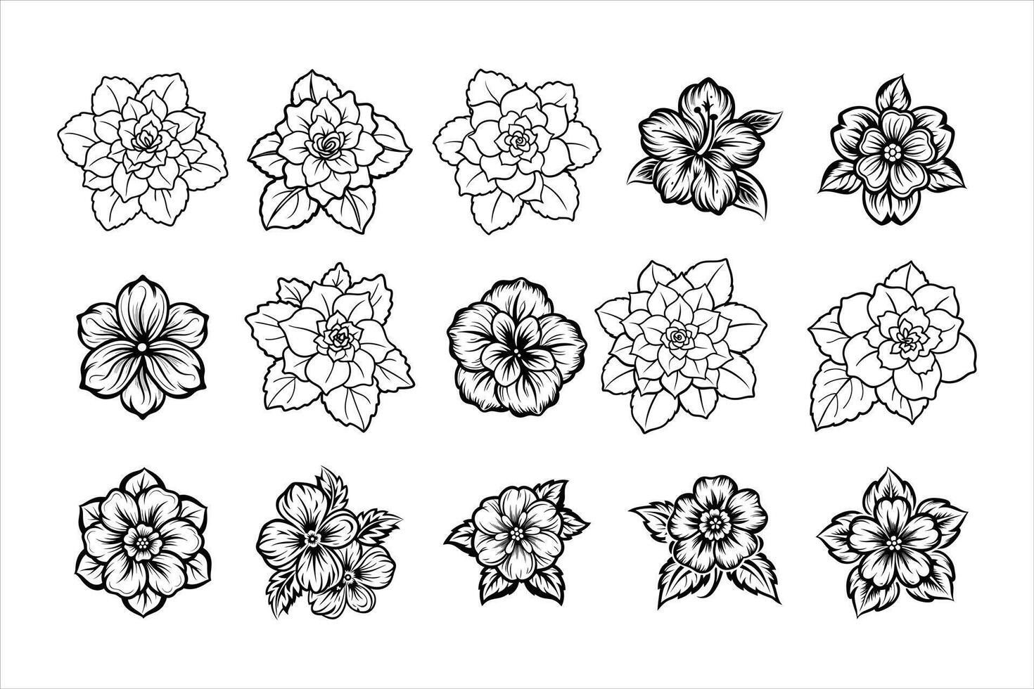 The Charm of Begonia Blossoms vector