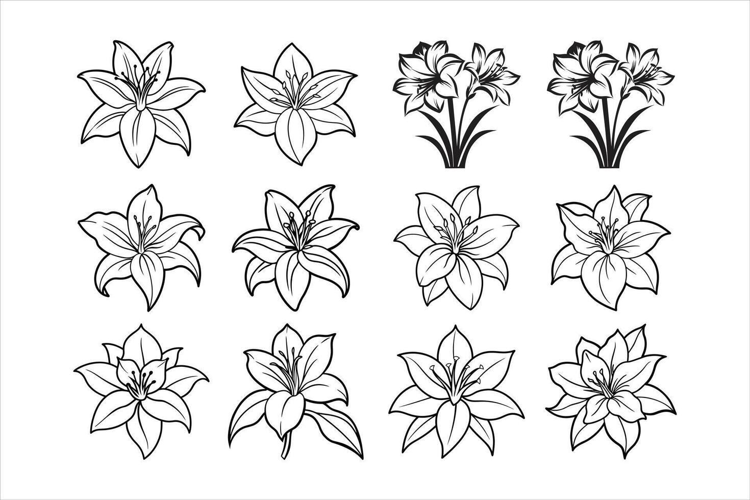 Beautiful white amaryllis with soft petals vector