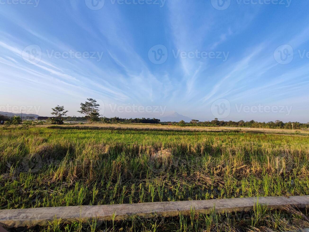 A beautiful field with a clear blue sky filled with clouds photo